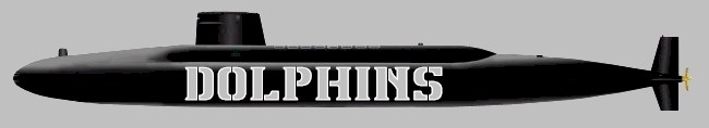 Dolphins header - image